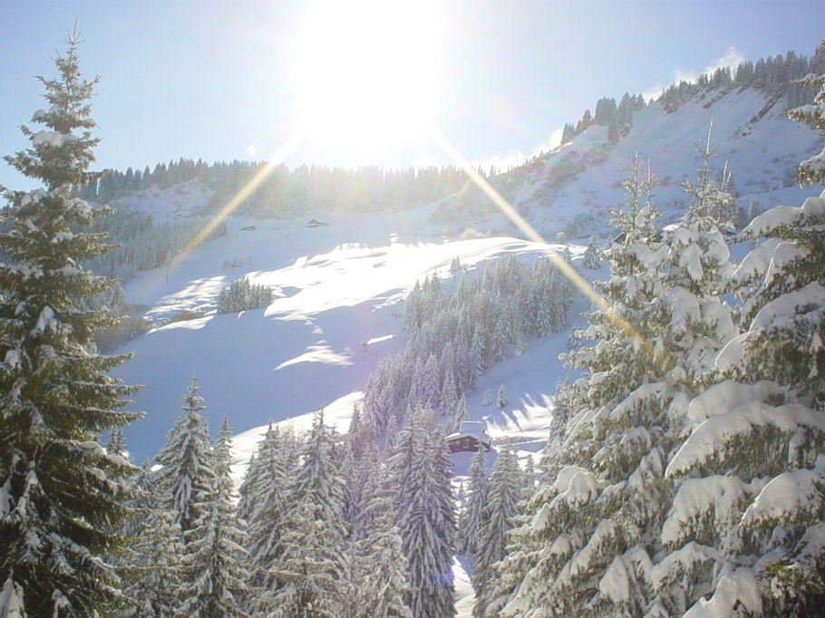 Chalet le raydan vacances hiver