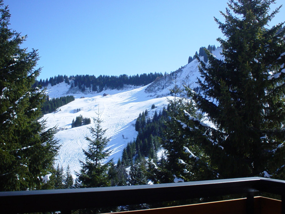 Chalet le raydan hiver